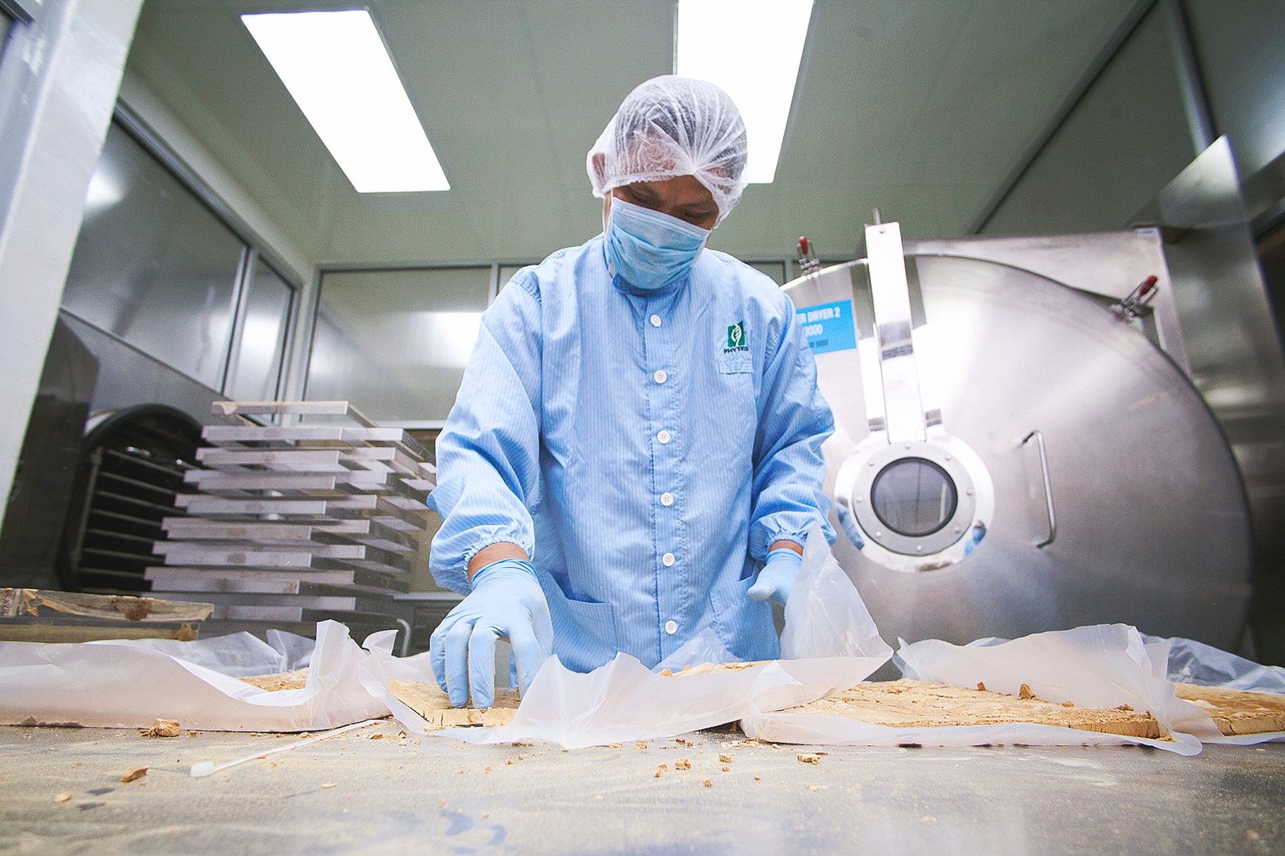 A technician handling freeze-dried Tongkat Ali extract