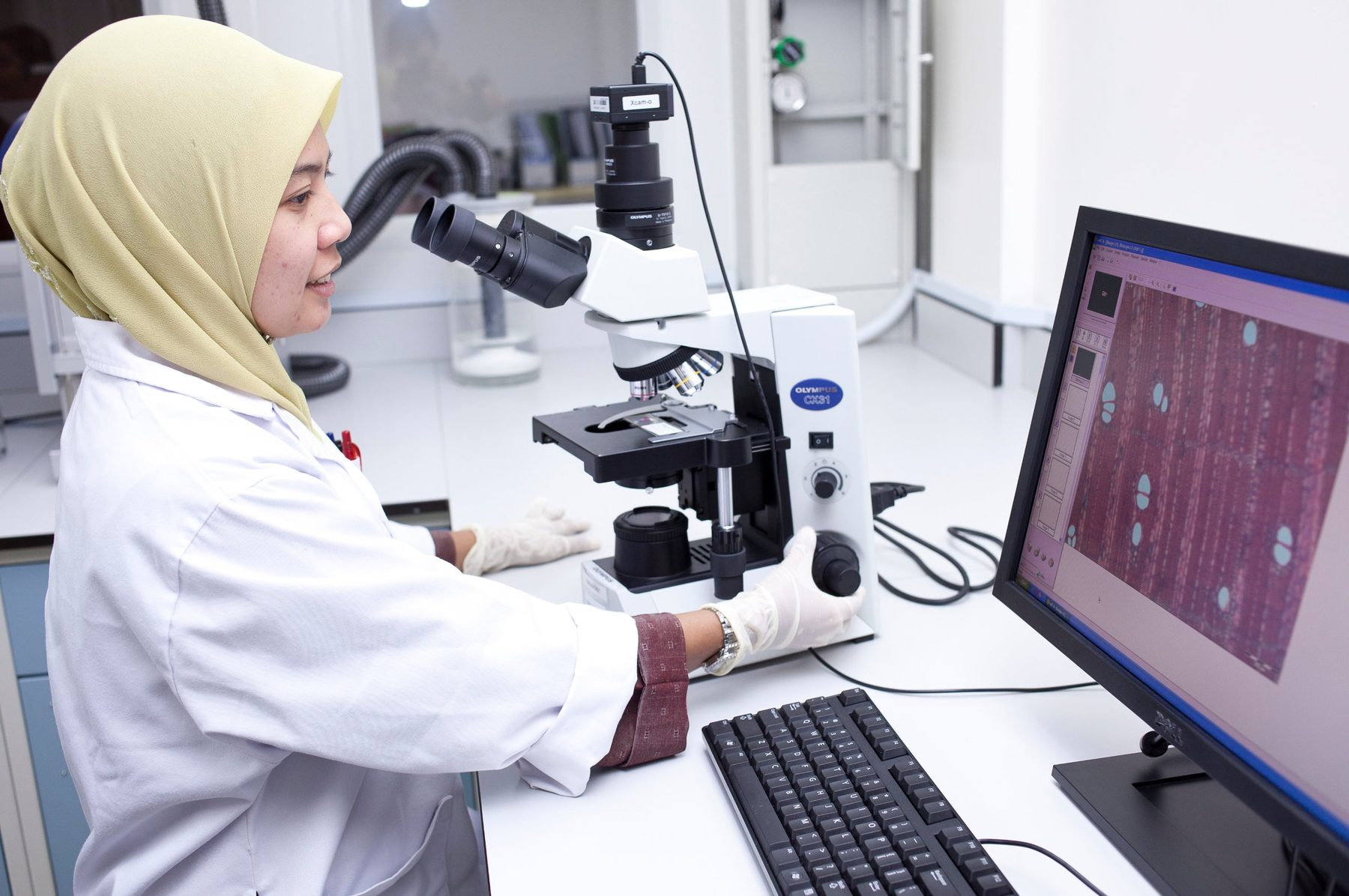 A scientist examining a Tongkat Ali root sample under a microscope